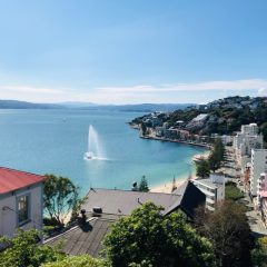 アラサーでワーホリ！オーペアin NZ